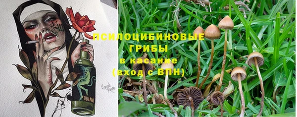 меф Алзамай