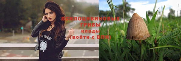 стафф Алексеевка