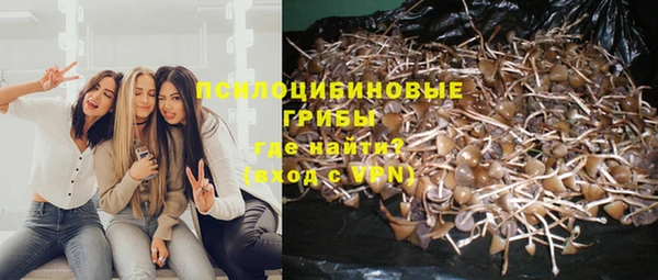 стафф Алексеевка